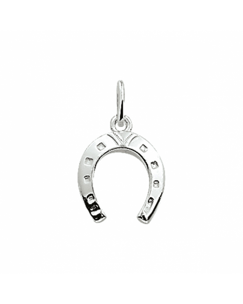 Zilveren hanger hoefijzer - 16488 Zilveren hanger hoefijzer - 16488