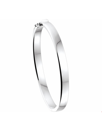 Bangle scharnier vlakke buis 6 x 65 mm - 14109