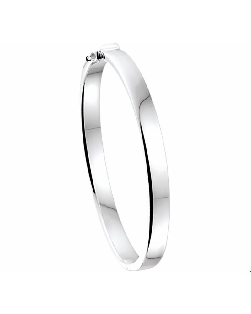 Bangle scharnier vlakke buis 6 x 65 mm - 14109