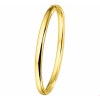 Bangle scharnier ovale buis 5 x 61 mm - 10300