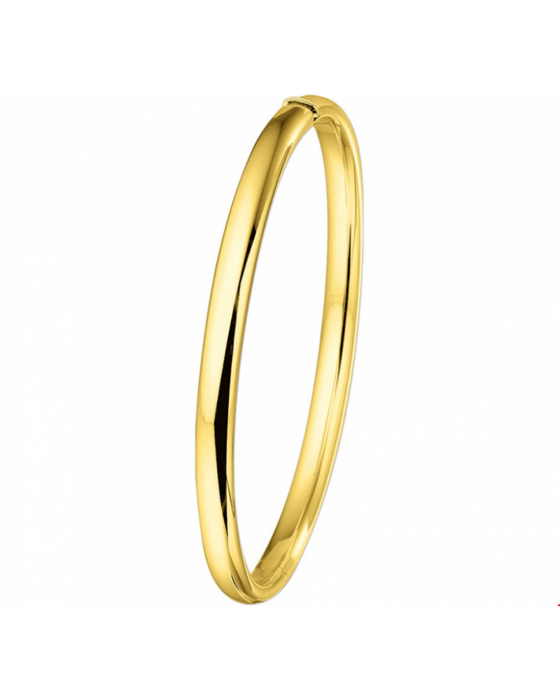 Bangle scharnier ovale buis 5 x 61 mm - 10300