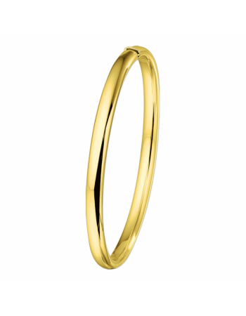 Bangle scharnier ovale buis 5 x 61 mm - 10300