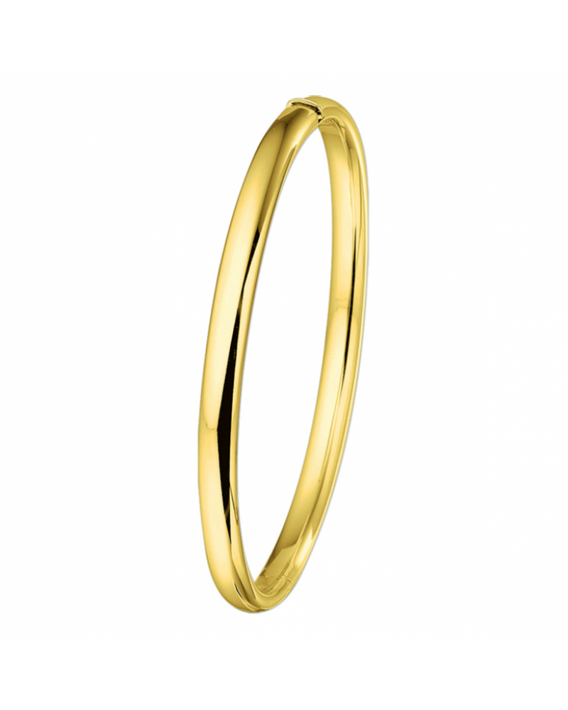 Bangle scharnier ovale buis 5 x 61 mm - 10300 Bangle scharnier ovale buis 5 x 61 mm - 10300