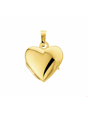 14 krt medaillon hart - 17239