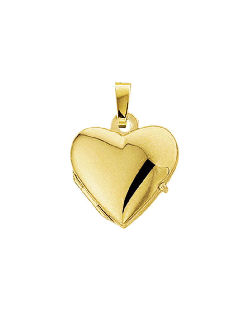14 krt medaillon hart - 17239 14 krt medaillon hart - 17239
