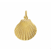 14krt gouden hanger schelp - 15371