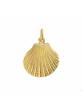 14krt gouden hanger schelp - 15371