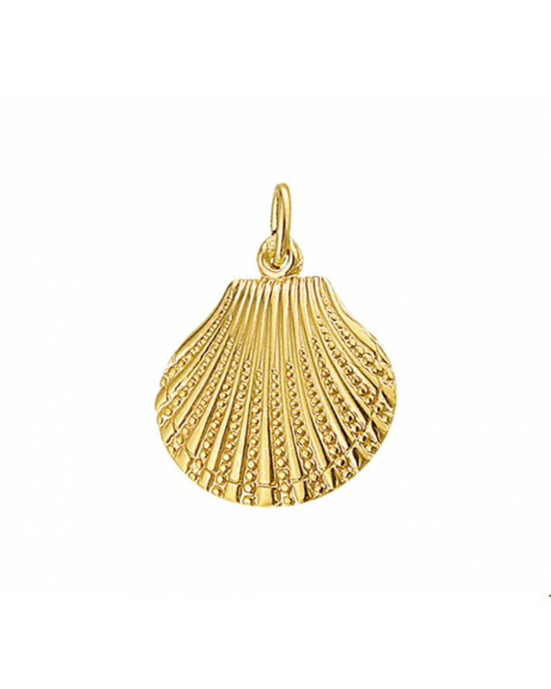 14krt gouden hanger schelp - 15371