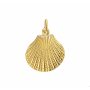 14krt gouden hanger schelp - 15371