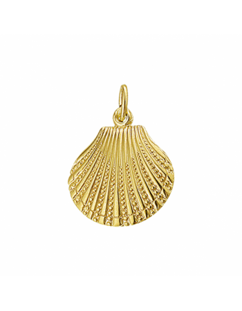 14krt gouden hanger schelp - 15371