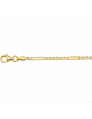 14krt geelgouden Armband valkenoog 2,0 mm - 14909