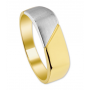 14 krt Bicolor Zegel Ring poli/mat - 13729