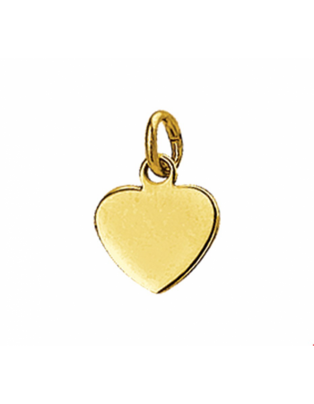 Graveerhartje hart - 14254