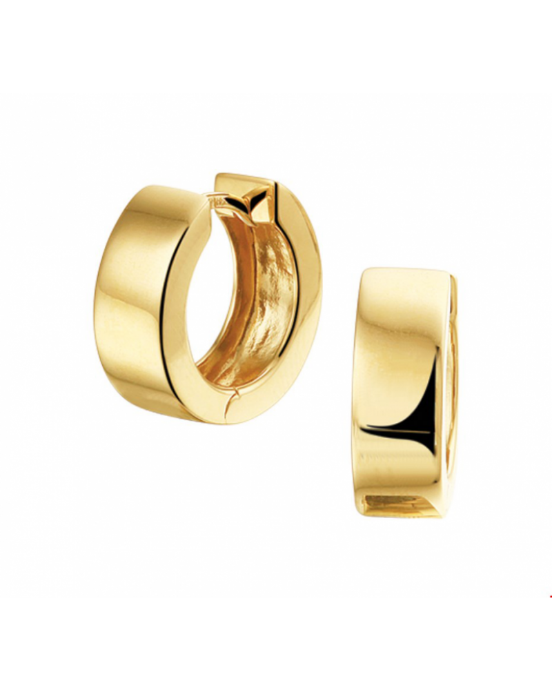 Klapoorringen 15 x 5 mm - 10390