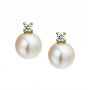 14 krt geelgouden Oorknoppen parel en diamant 0.10ct (2x0.05ct) H SI - 15055 14 krt geelgouden Oorknoppen parel en diamant 0.10ct (2x0.05ct) H SI - 15055