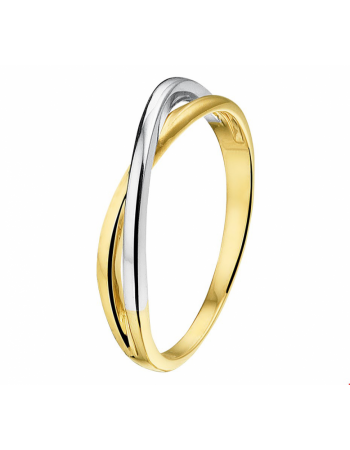 14krt bicolor fFantasie Ring - 14982
