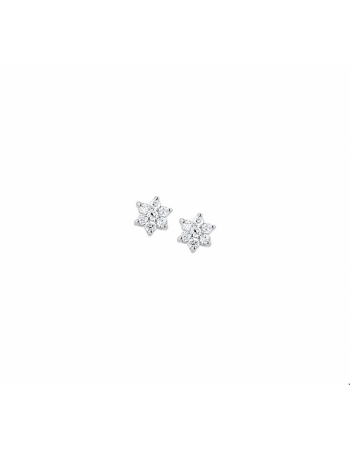 oorknoppen ster zirkonia halo - 10258 oorknoppen ster zirkonia halo - 10258