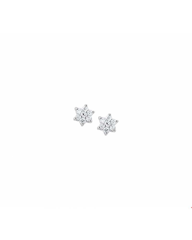 oorknoppen ster zirkonia halo - 10258 oorknoppen ster zirkonia halo - 10258