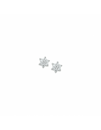 oorknoppen ster zirkonia halo - 10258 oorknoppen ster zirkonia halo - 10258