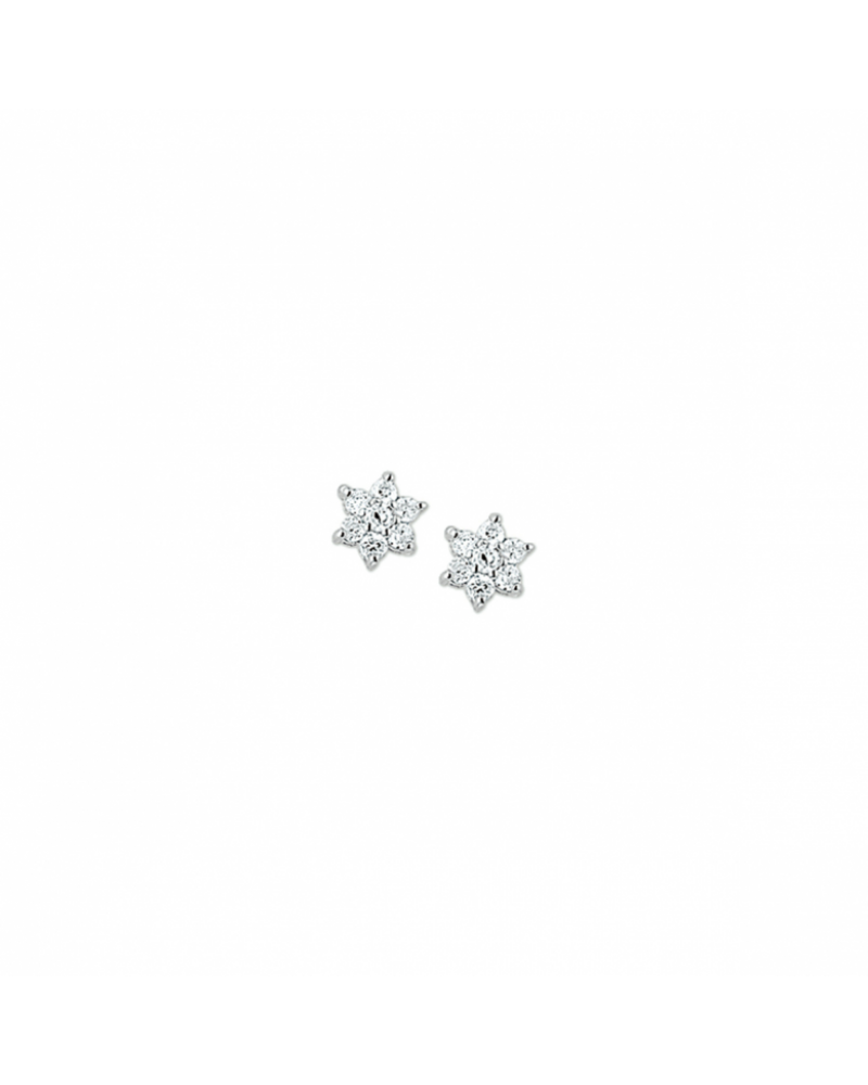 oorknoppen ster zirkonia halo - 10258 oorknoppen ster zirkonia halo - 10258