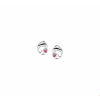 Oorknoppen dolfijn zirkonia - 10065