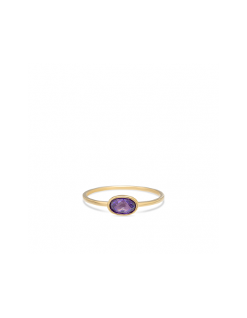 SWING JEWELS 14krt ring met Amethyst - 15139