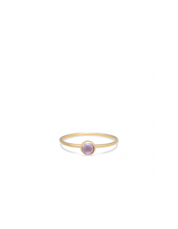 SWING JEWELS 14krt ring met Amethyst - 15131