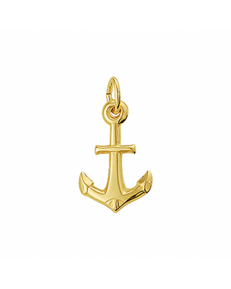 14 krt gouden hanger Anker - 17671 14 krt gouden hanger Anker - 17671