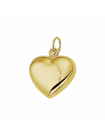 14 krt geelgouden hanger hart - 16119