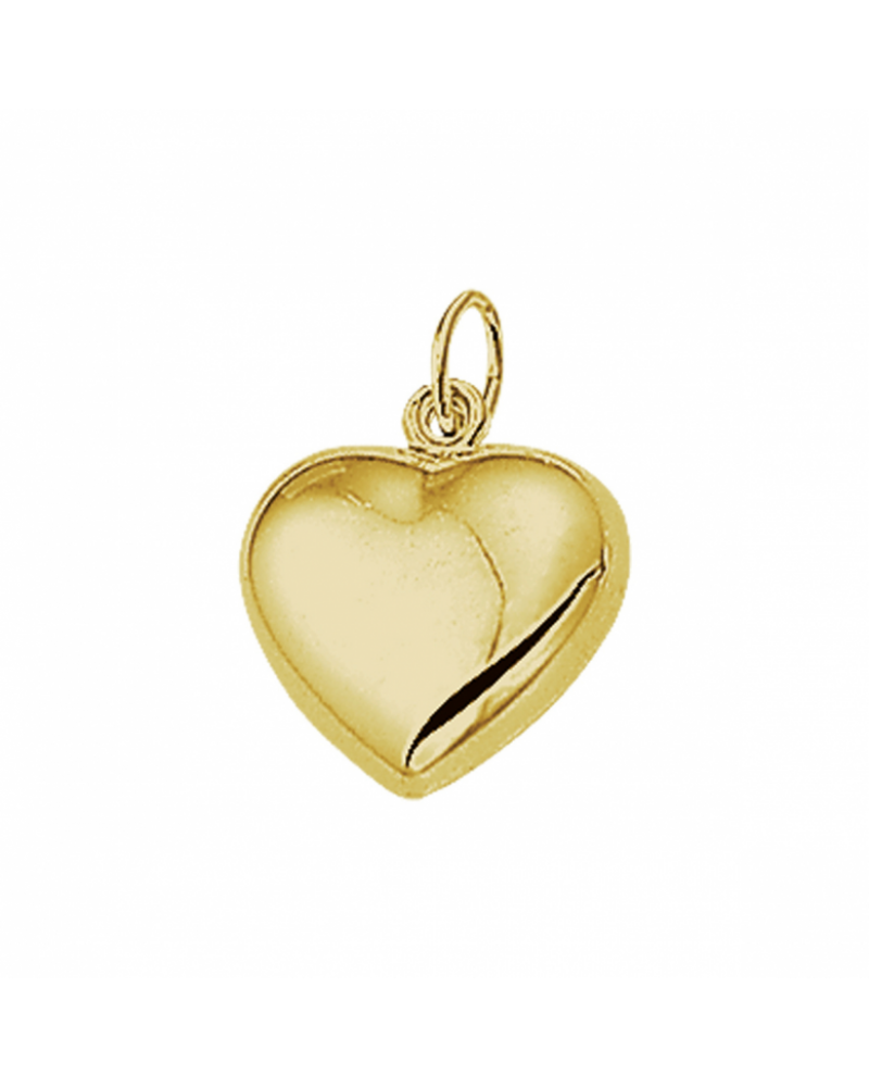 14 krt geelgouden hanger hart - 16119