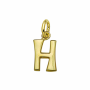 gdn hanger letter H - 18001