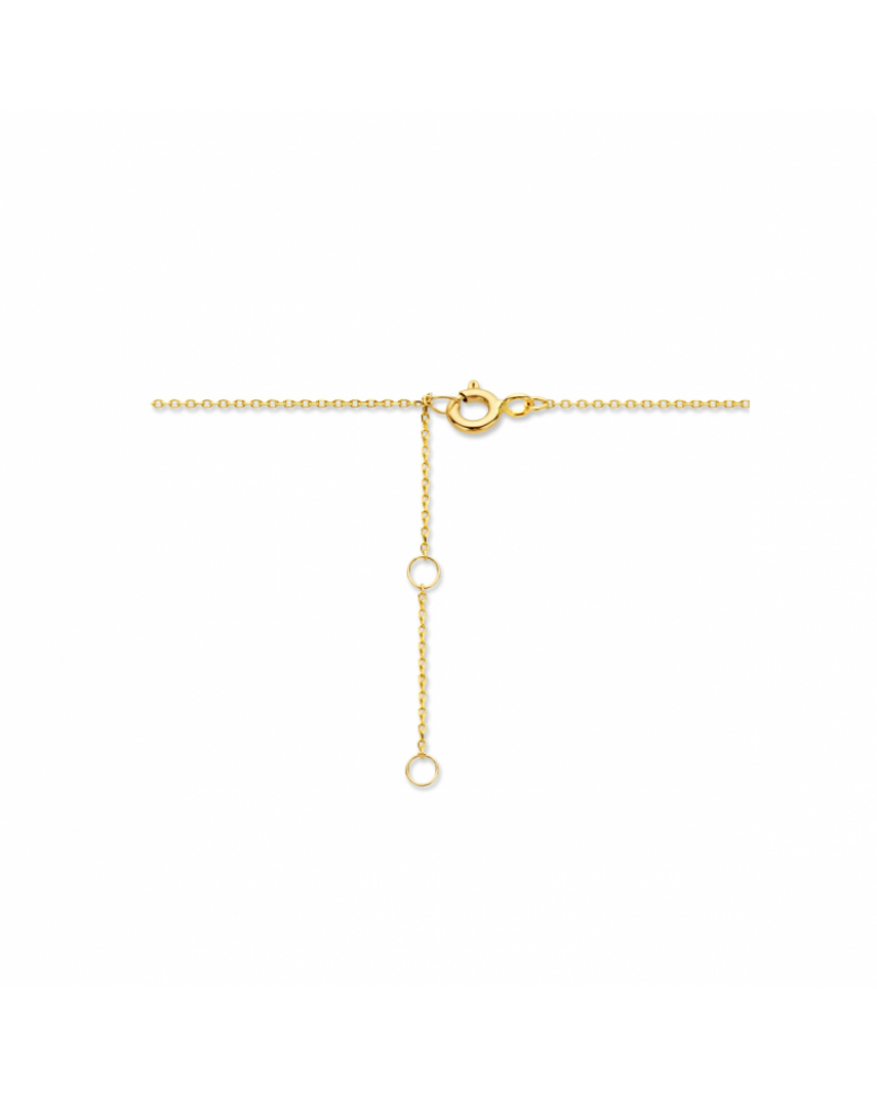 14 krt collier rondjes 0,8 mm 40 + 4 cm - 17072 14 krt collier rondjes 0,8 mm 40 + 4 cm - 17072