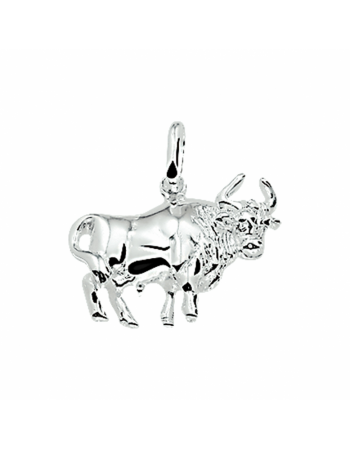 zilveren hanger sterrenbeeld - 17253