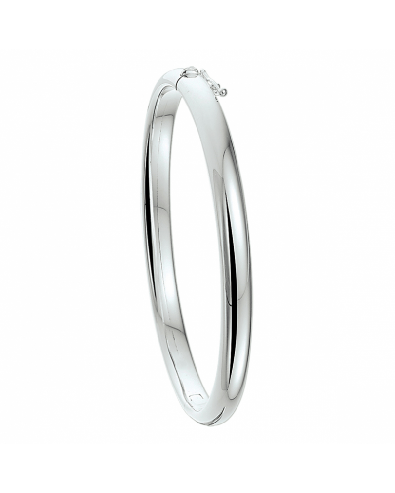 bangle scharnier bolle buis 6 x 60 mm - 17564